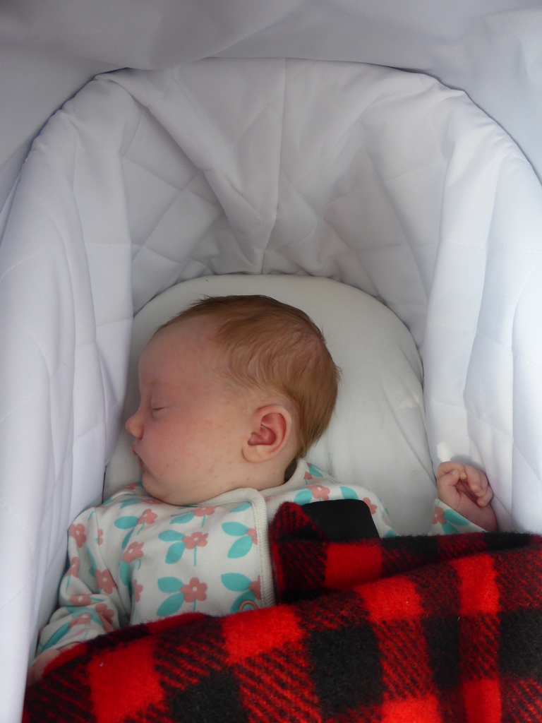 out n about nipper double carrycot
